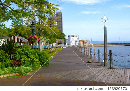 Photographed at Kantankoen in Oita Prefecture 128920770