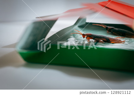 滅蟑螂，滅蟑螂，滅擊玩具 128921112
