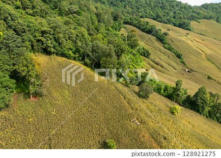 The biggest cause of forest loss is agricultural deforestation ,environmental damage in Southeast Asia , global warming and environment. 128921275