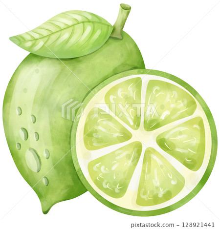 Watercolor hand drawn lime fruit cartoon Watercolor hand drawn lime fruit cartoon 128921441