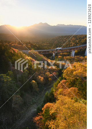 Autumn leaves illuminated by the morning sun 128921628