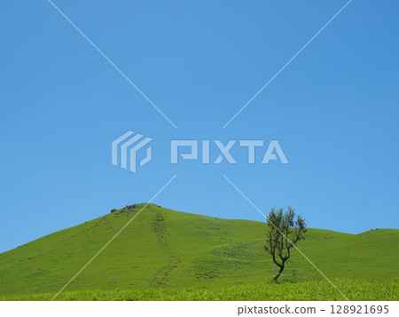 Beautiful grassland scenery Beautiful grassland scenery 128921695