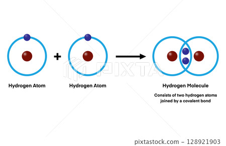 Two hydrogen atoms combine to form a hydrogen molecule through a covalent bond, sharing electrons to achieve stability and create the simplest diatomic molecule in nature Two hydrogen atoms combine to form a hydrogen molecule through a covalent bond, sharing electrons to achieve stability and create the simplest diatomic molecule in nature 128921903