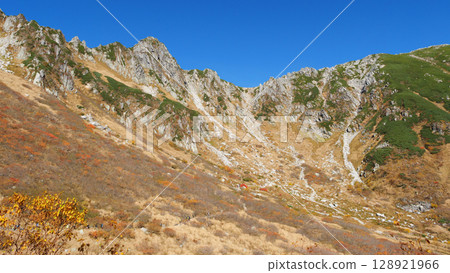 秋葉中央阿爾卑斯Senjyojiki捲毛 秋葉中央阿爾卑斯Senjyojiki捲毛 128921966