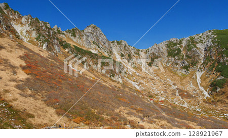 Central alps of autumn leaves Senjyojiki curl 128921967