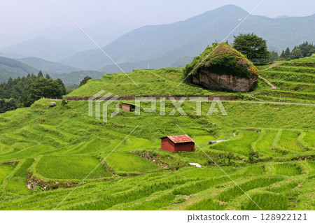 Maruyama Senjyo no Oishiwa Maruyama Senjyo no Oishiwa 128922121