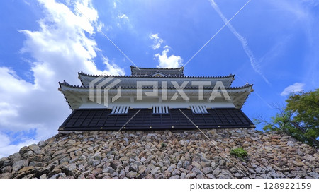Gifu Castle (Summer) 3 128922159