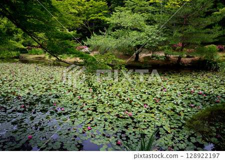 Snake's Nose 2025-6-21 #54 128922197