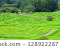 Rice terrace of Maruyama Senjita 128922287