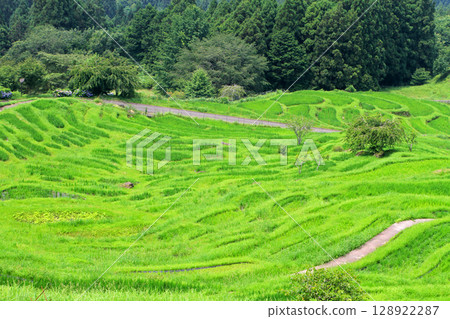 Rice terrace of Maruyama Senjita Rice terrace of Maruyama Senjita 128922287