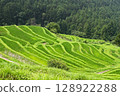 Rice terrace of Maruyama Senjita 128922288