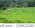 Rice terrace of Maruyama Senjita 128922289