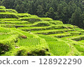 Rice terrace of Maruyama Senjita 128922290
