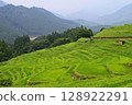 Rice terrace of Maruyama Senjita 128922291