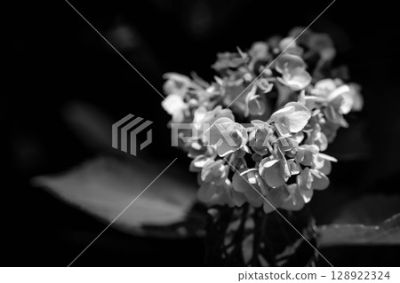Monochrome World ~End of the Rainy Season~ 128922324
