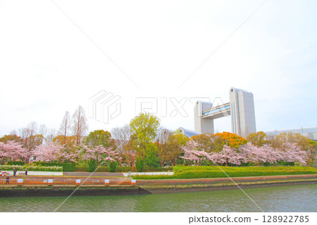 春天的愛知縣名古屋市，櫻花盛開，世紀會館 128922785