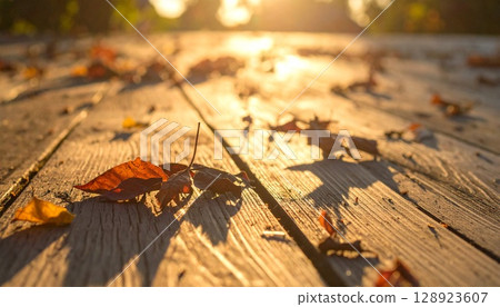 黃金時段景觀與木地板及落葉 128923607