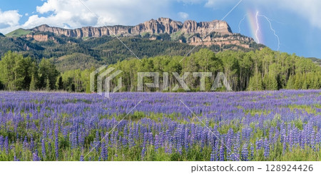 Stunning Lupine Wildflower Meadow Scenic Mountain Rainbow Lightning Sky Blue View Storm Green Trees 128924426