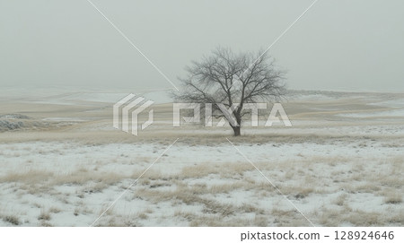 Solitary Winter Tree Snowy Field Landscape Peaceful Nature Scene Serene Wintertime Bare Branches Solitary Winter Tree Snowy Field Landscape Peaceful Nature Scene Serene Wintertime Bare Branches 128924646
