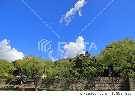 Marugame Castle: Japan's tallest stone walled castle Marugame Castle: Japan's tallest stone walled castle 128924855
