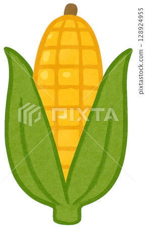 Corn Corn 128924955