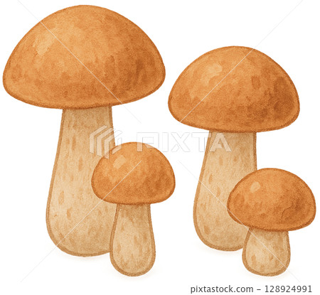 Mushrooms 128924991