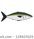Yellowtail 128925029