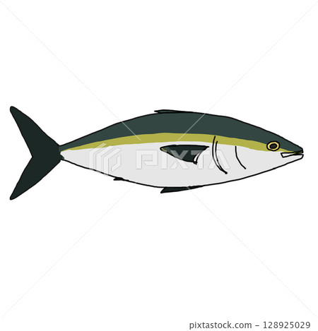Yellowtail 128925029