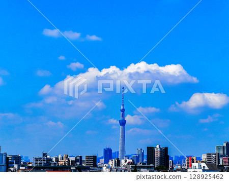 天空樹的看法 128925462