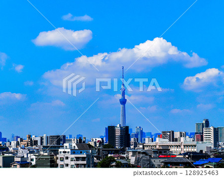 與天空樹的風景 128925463