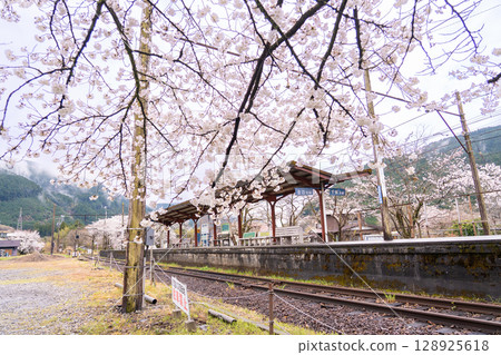 Suruga Tokuyama Station in spring after the rain, a station on the Oigawa Main Line of the Oigawa Railway in Kawane-cho, Shizuoka Prefecture Suruga Tokuyama Station in spring after the rain, a station on the Oigawa Main Line of the Oigawa Railway in Kawane-cho, Shizuoka Prefecture 128925618