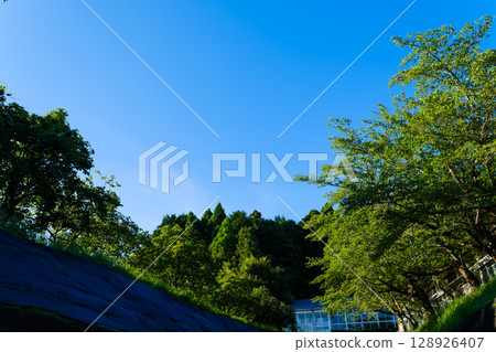 A sight I spotted on my walk 128926407