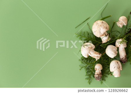 Natural champignon mushrooms on green background 128926662