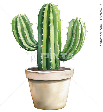 Illustration of Cactus 128926704