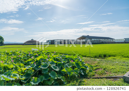 Suiden Terrace 128926741