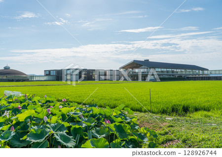 Suiden Terrace 128926744