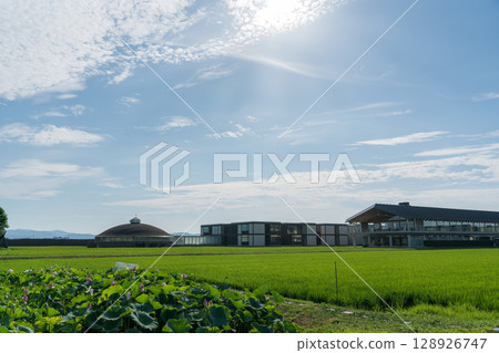 Suiden Terrace 128926747