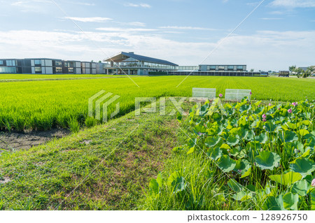 Suiden Terrace Suiden Terrace 128926750
