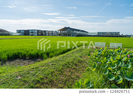 Suiden Terrace Suiden Terrace 128926751