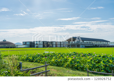 Suiden Terrace 128926752