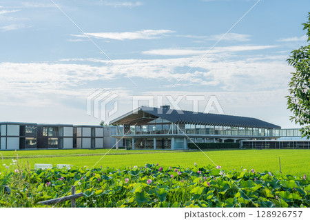 Suiden Terrace 128926757