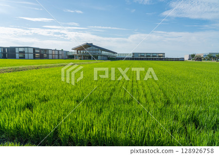 Suiden Terrace 128926758