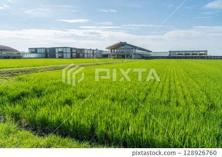 Suiden Terrace 128926760