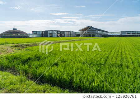 Suiden Terrace Suiden Terrace 128926761