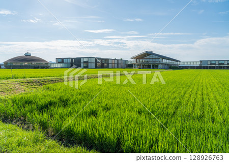 Suiden Terrace 128926763