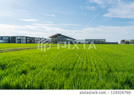 Suiden Terrace 128926766