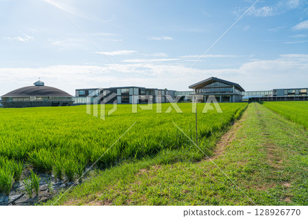 Suiden Terrace 128926770