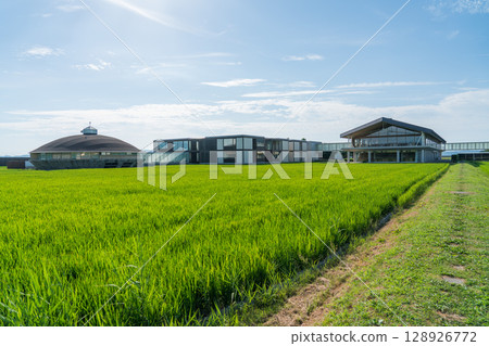 Suiden Terrace 128926772