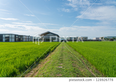 Suiden Terrace 128926778