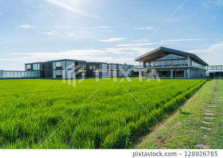 Suiden Terrace 128926785